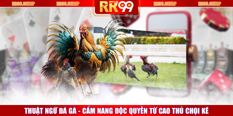 Thuật Ngữ Đá Gà